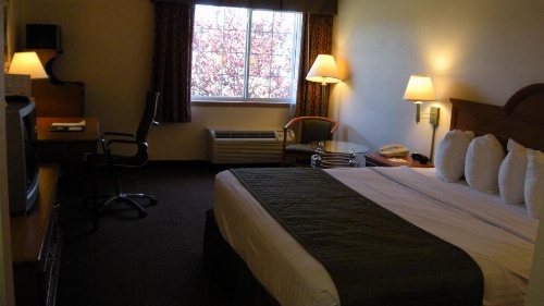 Best Western J. C. Inn image 19