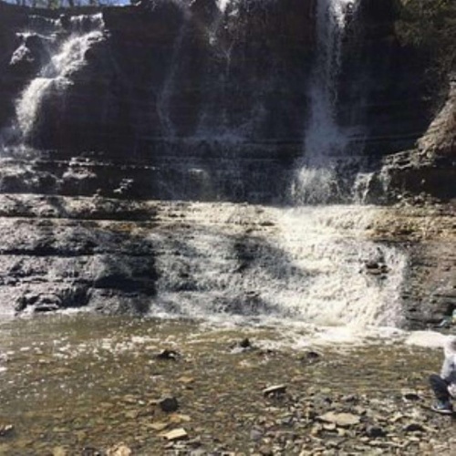 Best Western J. C. Inn image 26