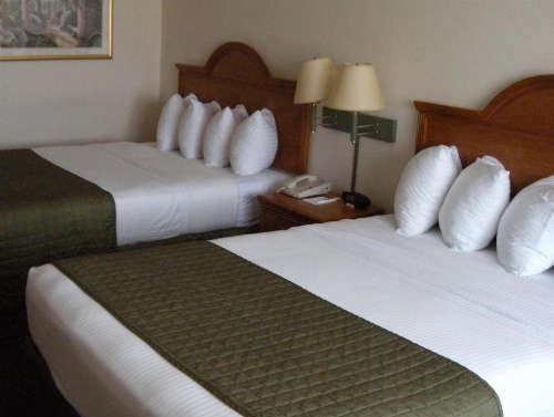 Best Western J. C. Inn image 46